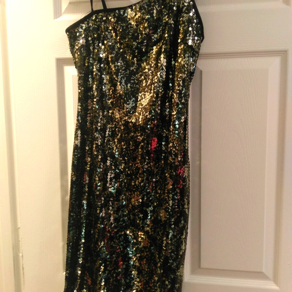 Express Silver Sequin dress